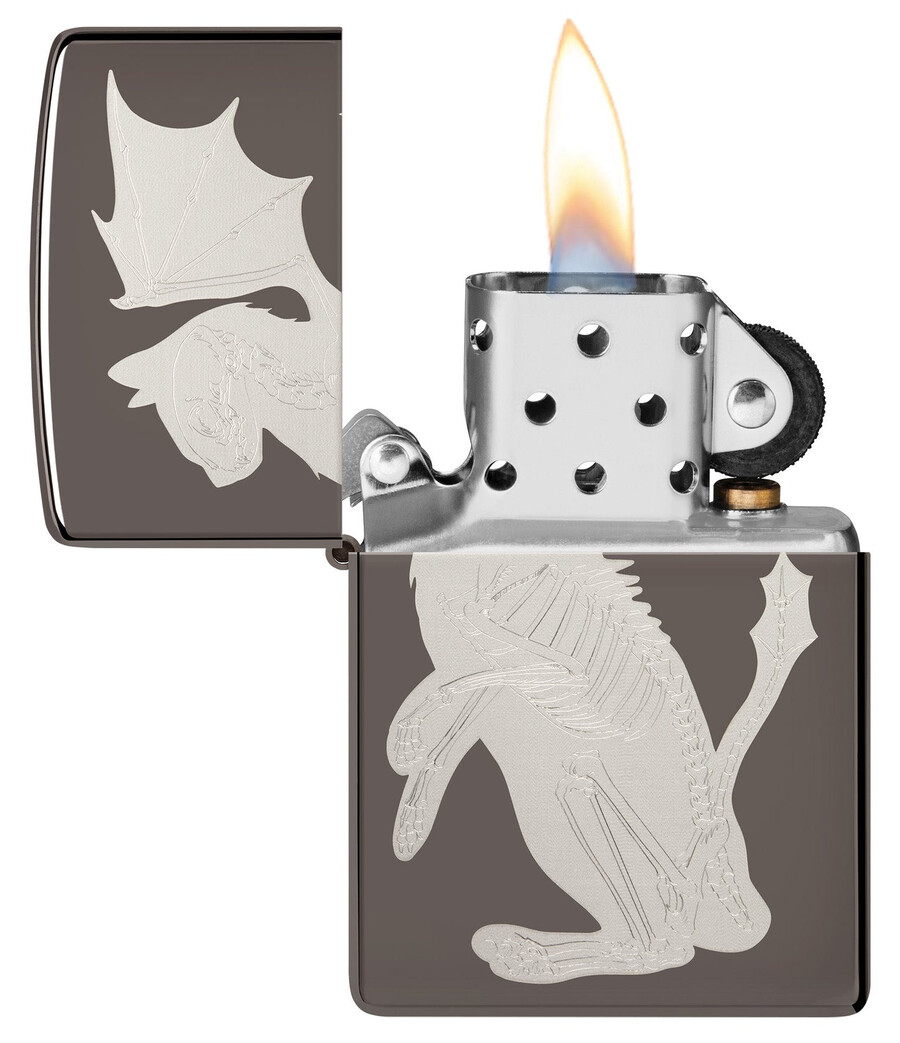 drachenkatzen-design