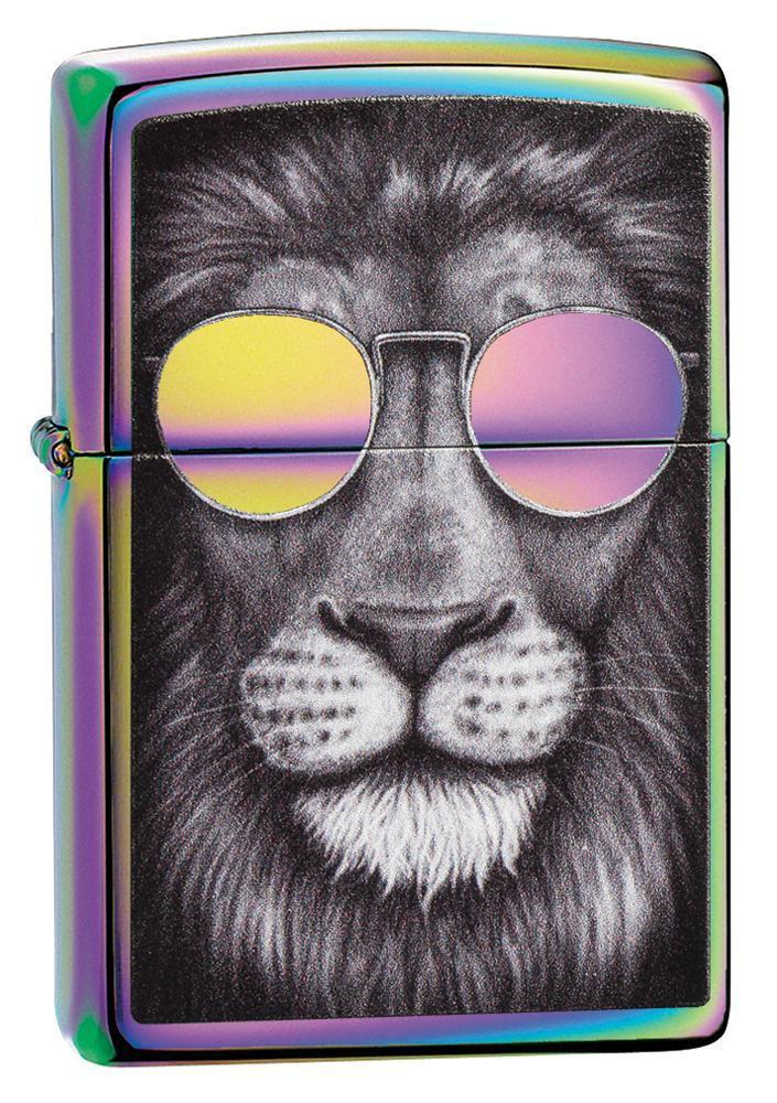 löwe mit sonnenbrille