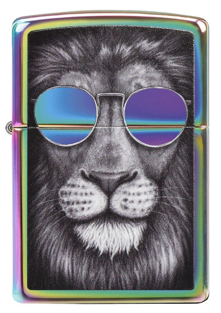 löwe mit sonnenbrille