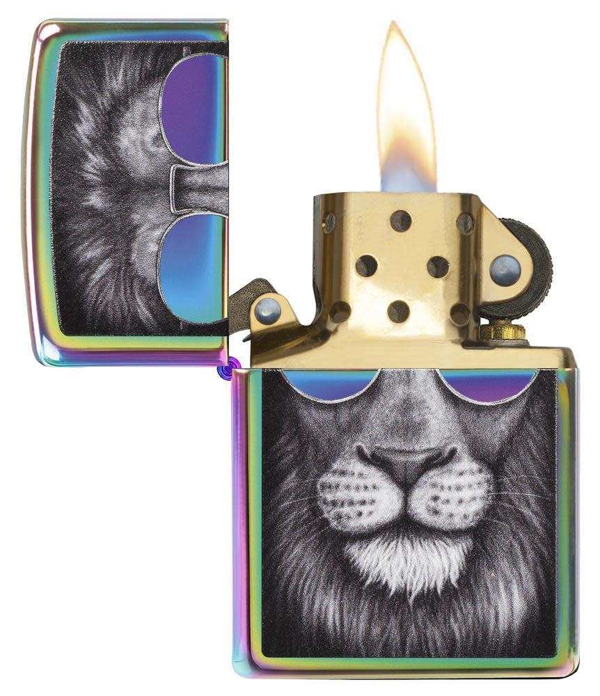 löwe mit sonnenbrille