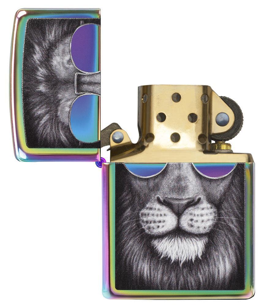 löwe mit sonnenbrille