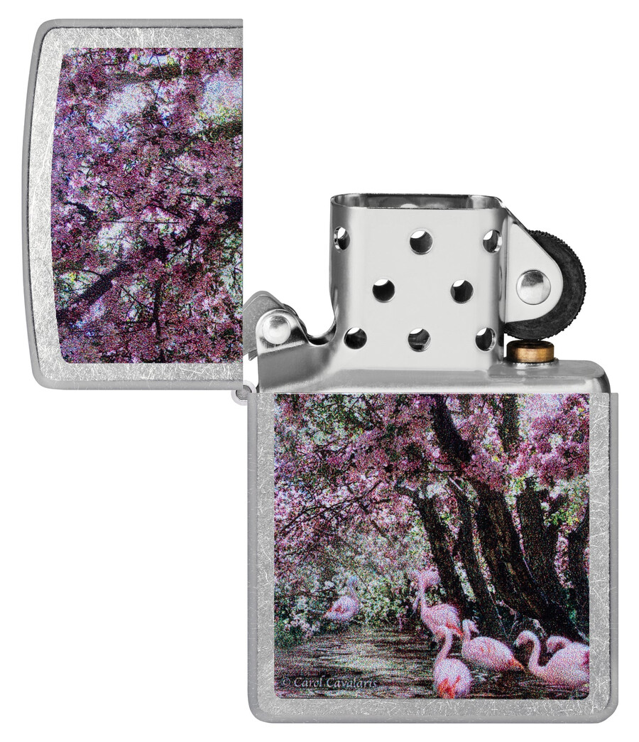 carol cavalaris flamingo lagoon design