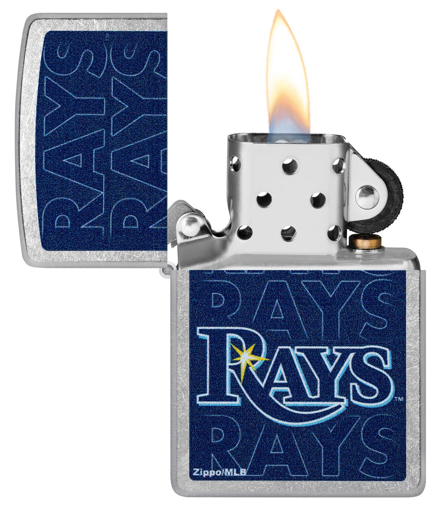 mlb tampa bay rays logo-design