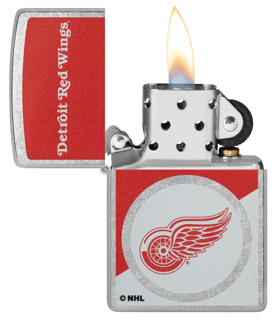 detroit red wings farbblock-logo-design