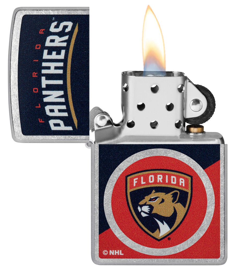 florida panthers colorblock-logo-design