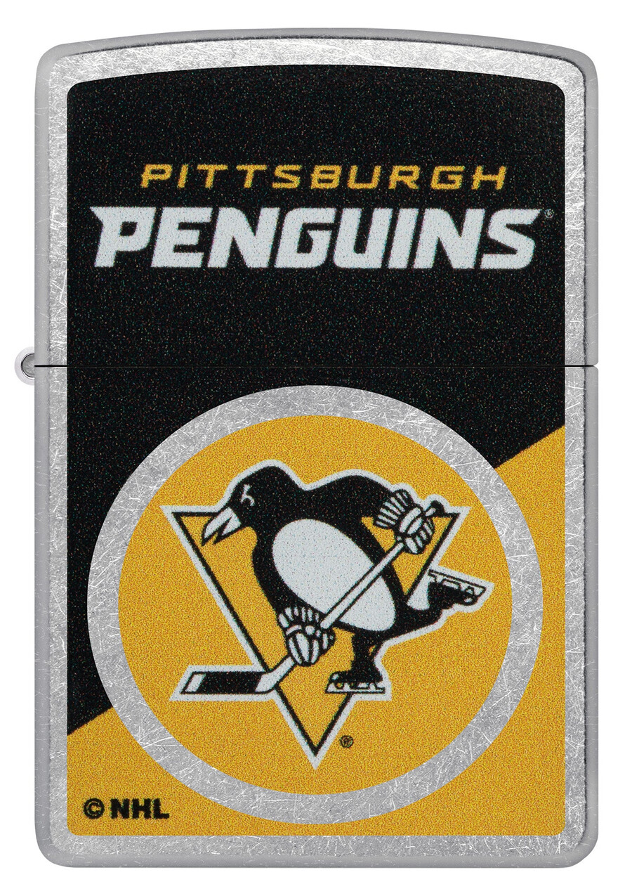pittsburgh penguins colorblock-logo-design
