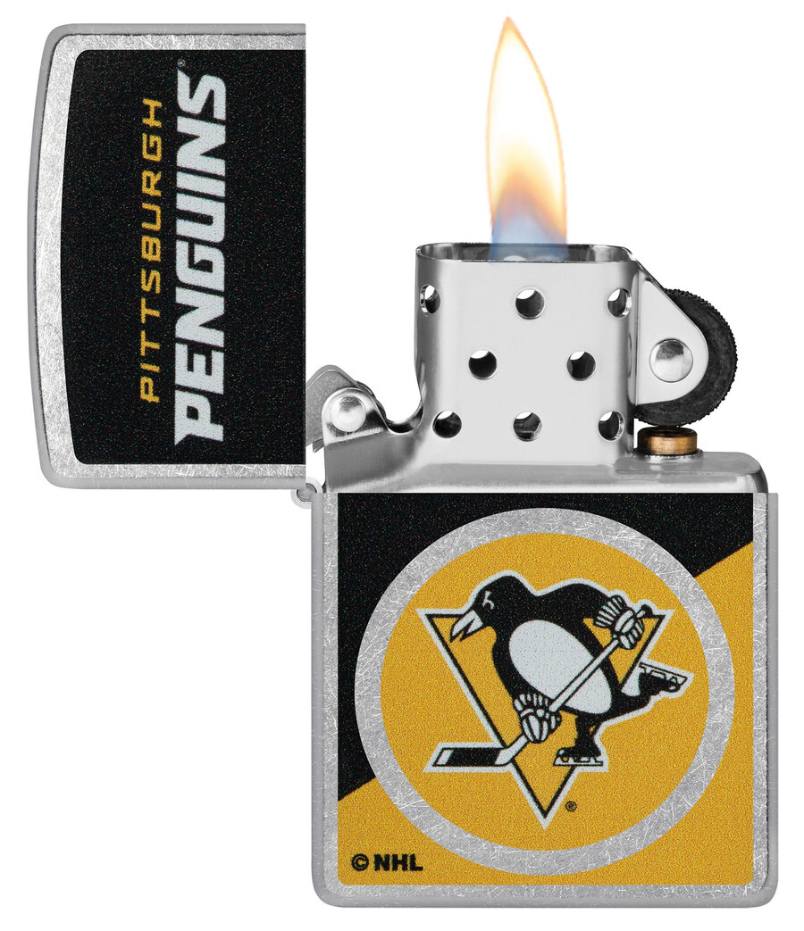 pittsburgh penguins colorblock-logo-design