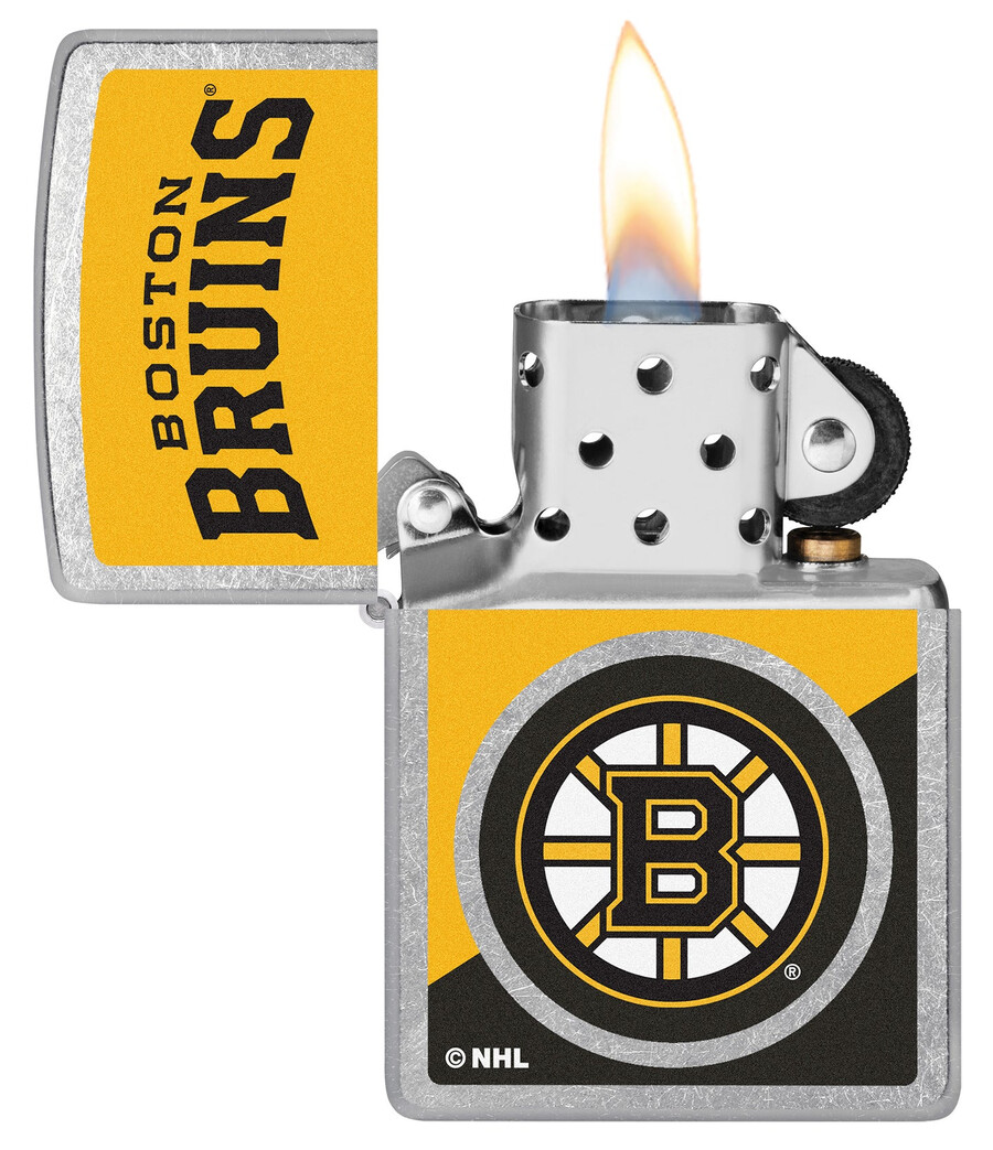 boston bruins colorblock-logo-design