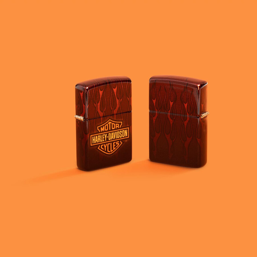harley-davidson fusion flames design