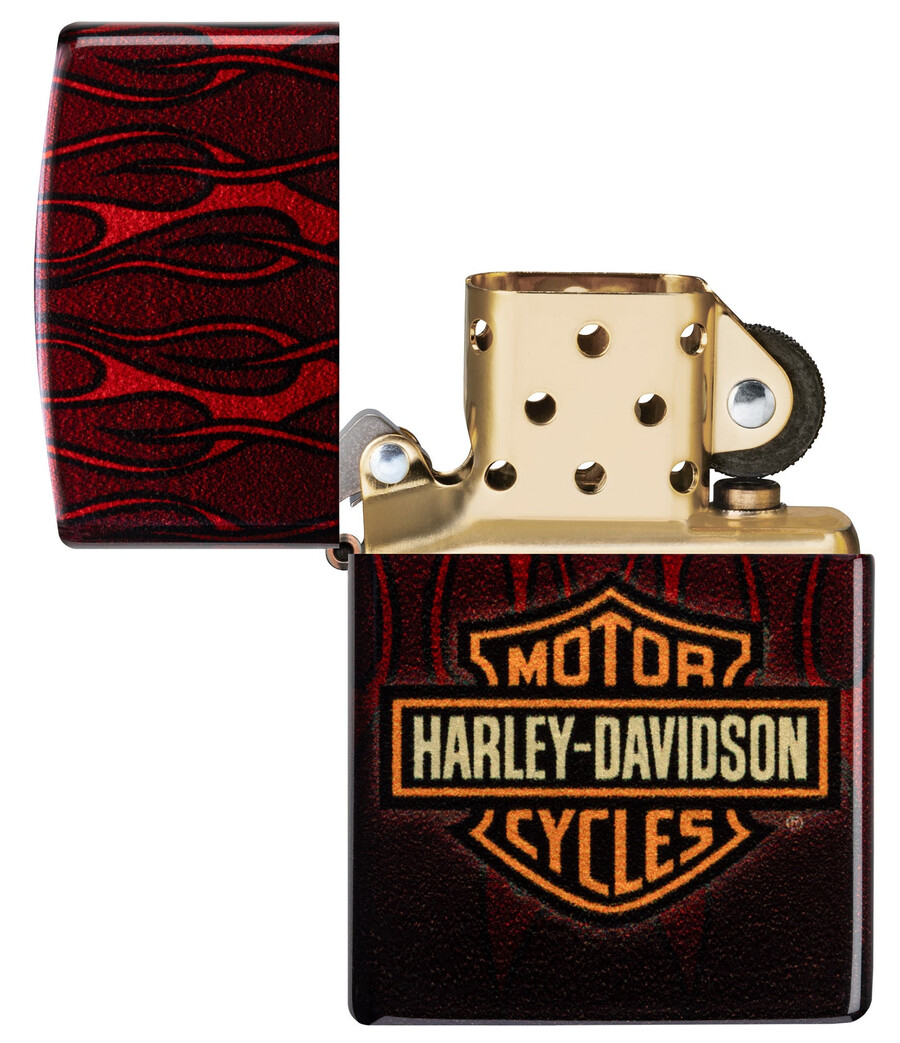harley-davidson fusion flames design