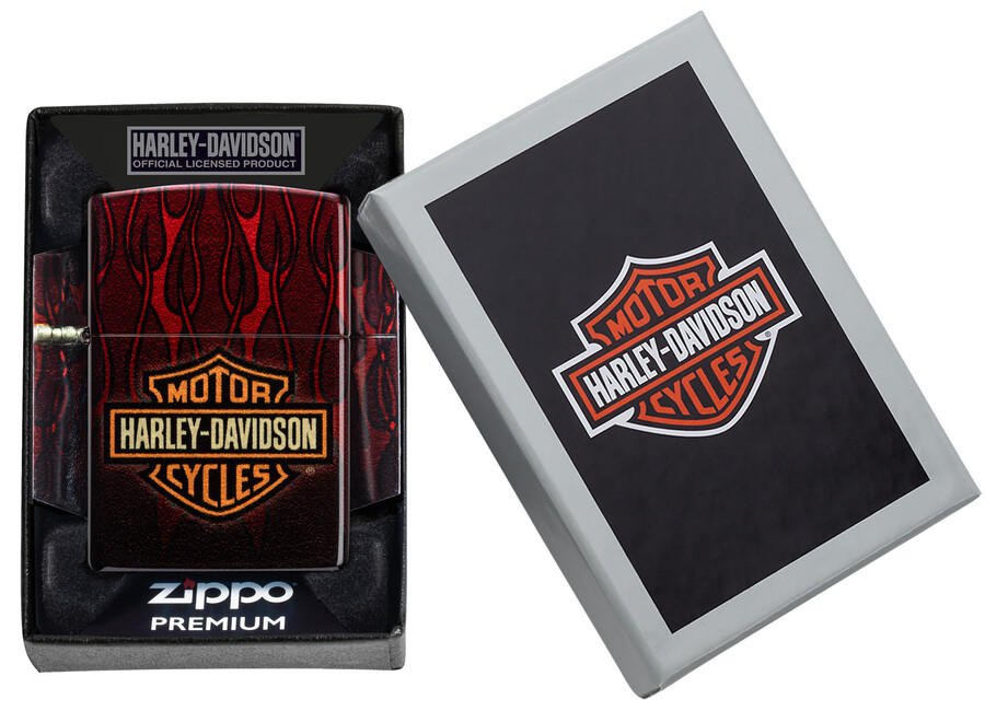 harley-davidson fusion flames design