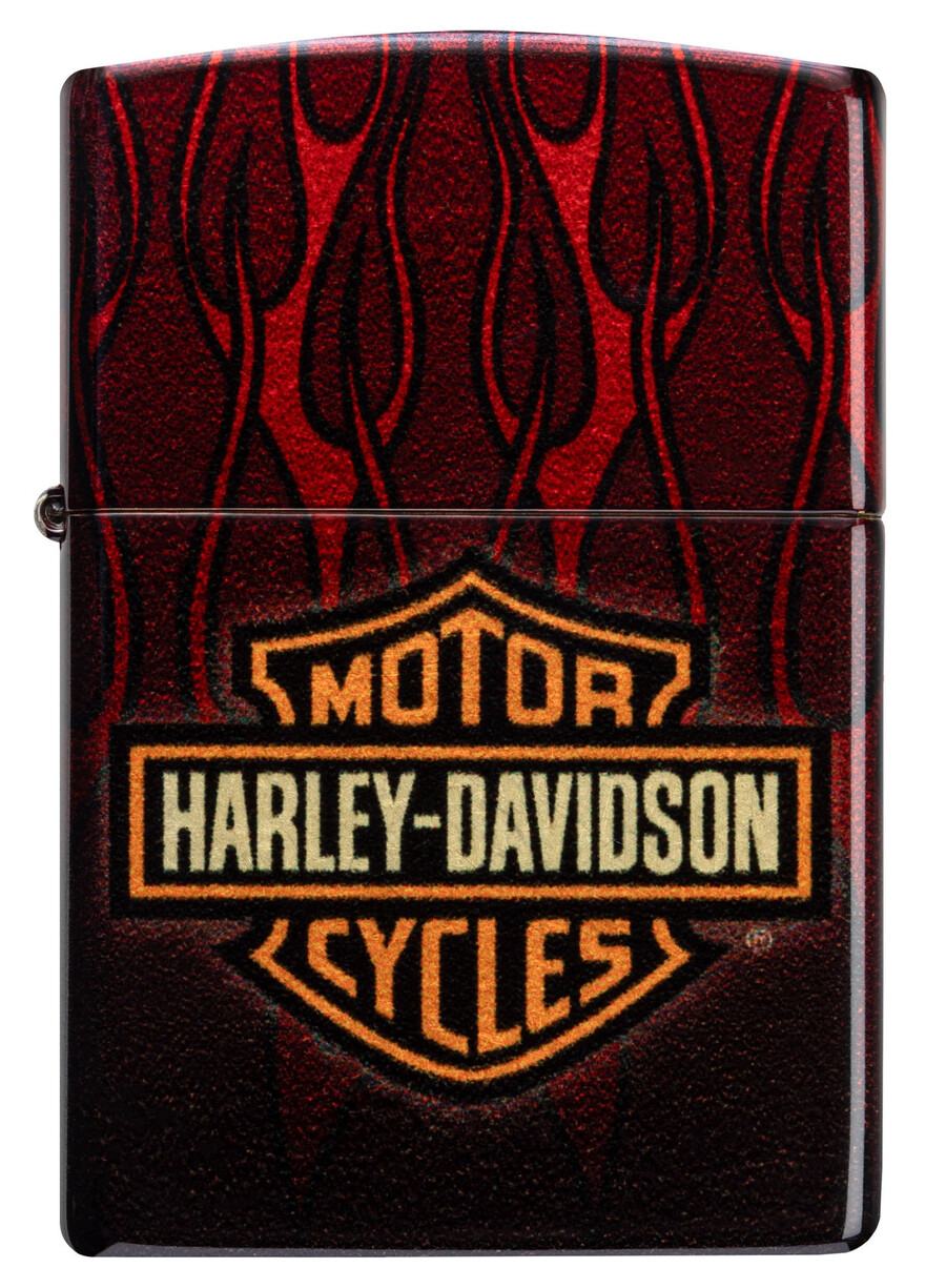 harley-davidson fusion flames design