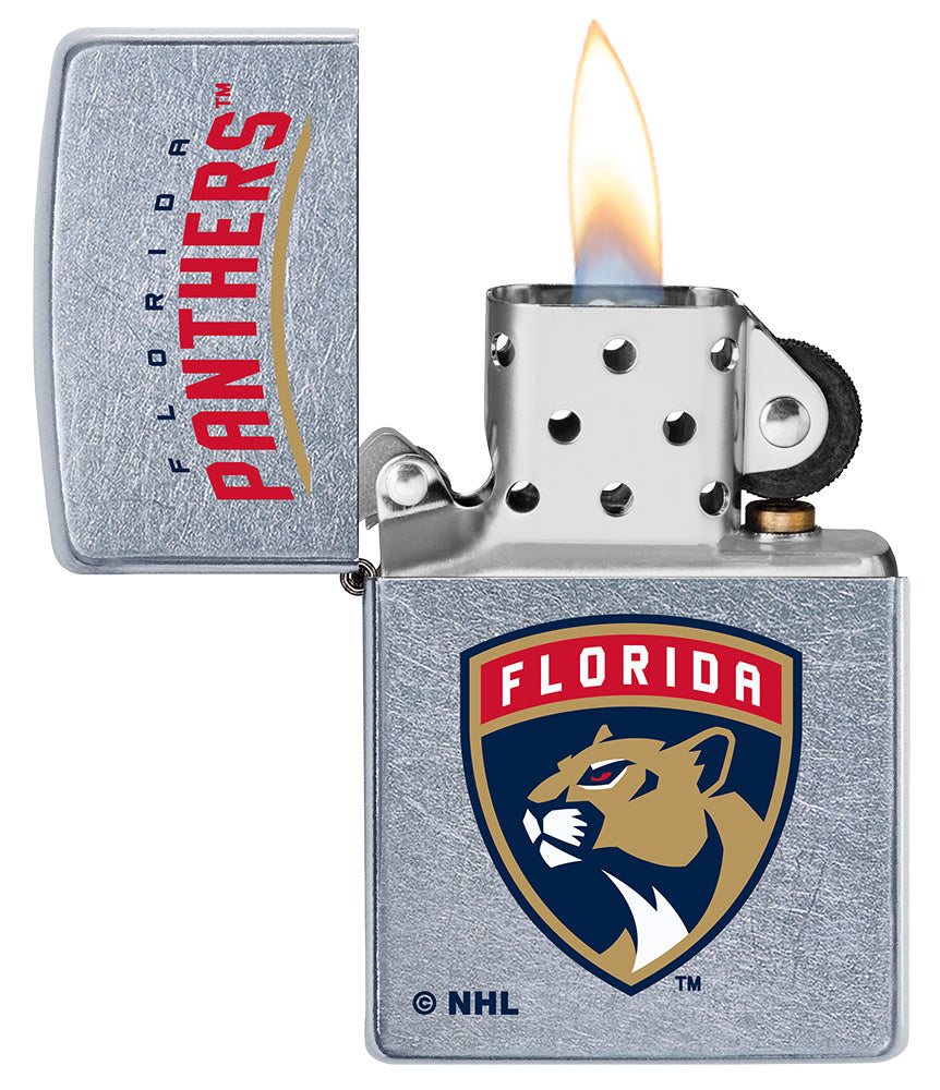 florida panthers logo-design
