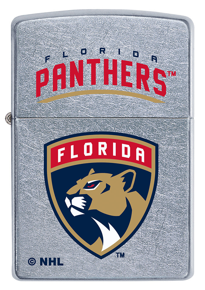 florida panthers logo-design